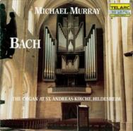 Bach In Hildesheim