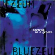 Portrait Of A Groove