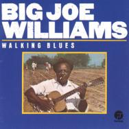 Walking Blues