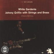 White Gardenia