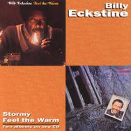 Stormy Feel The Warm MP3