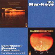 DamifiknowMemphis Experience