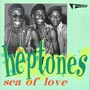 Sea Of Love