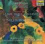 Respighi Transcriptions For Orchestra Rossini La B